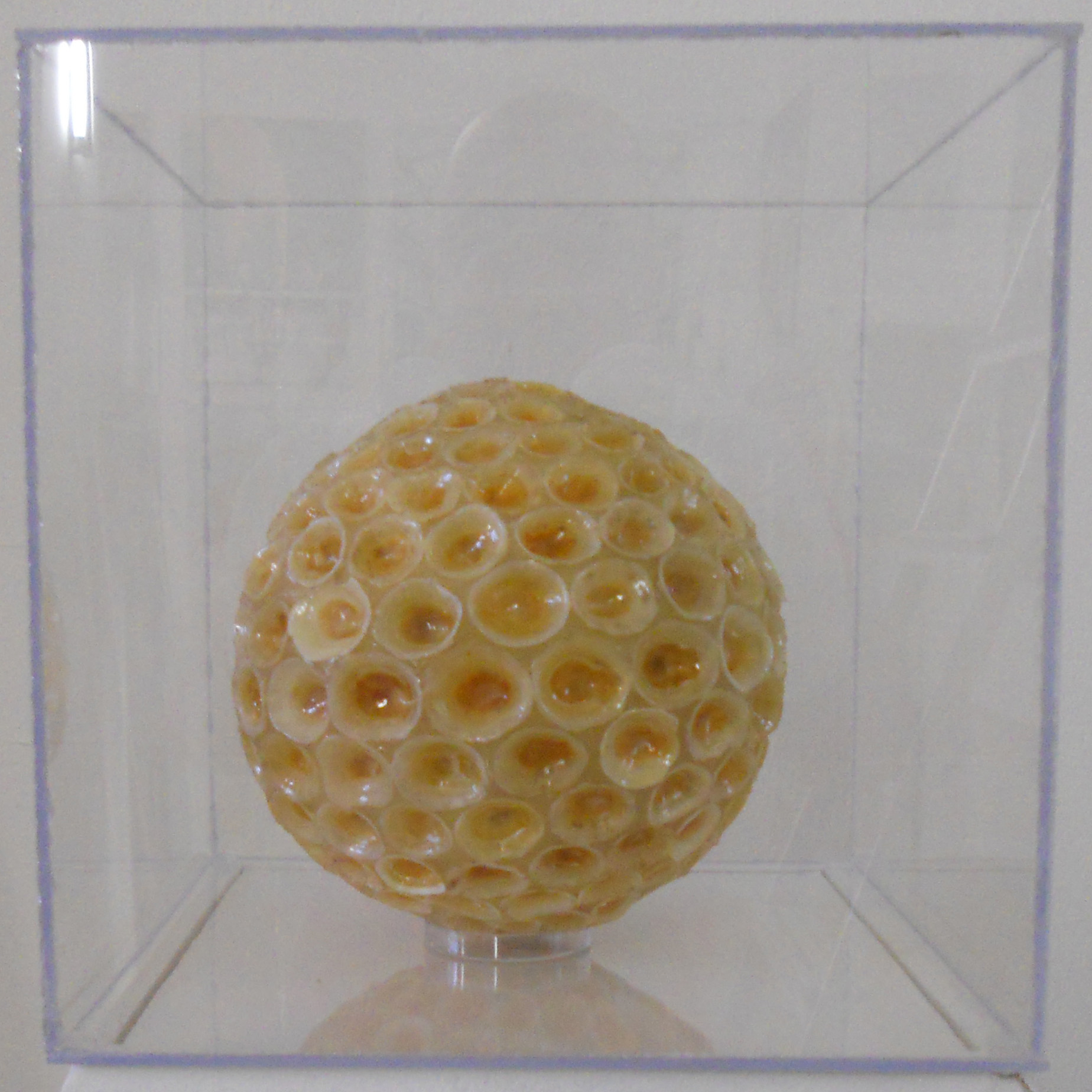 MW 20 (Hohe Aufl&ouml;sung)